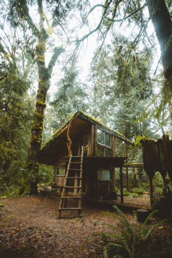 jeraldmcdermott:  Tucked away in the woods