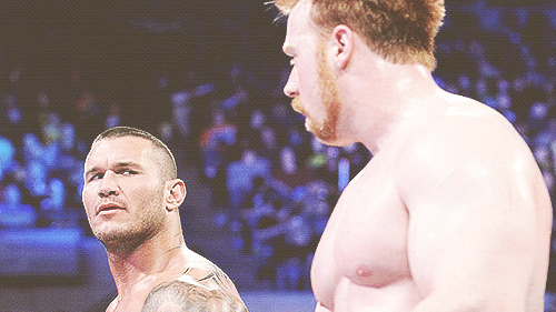 punkisgod:  “randy orton and sheamus belong together as a team”
