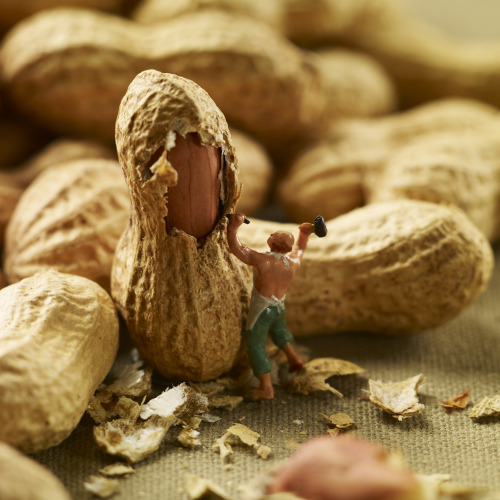 itscolossal:  A Pair of Culinary Photographers Create Edible Backdrops for a World of Miniature Inhabitants