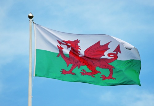 MARCH 01, 2015Happy St David&rsquo;s Day !!! Dydd Gŵyl Dewi Hapus !!!St David&rsquo;s Day is celebra