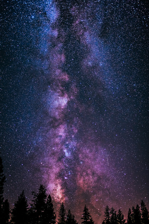 Porn photo d-openess:  Milky Way at Yosemite. // Michael