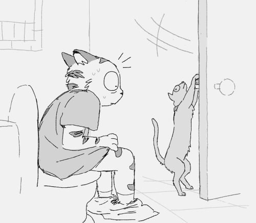 My Roommate's Cat Learned How To Open Doors And Now He's A FREAK!!