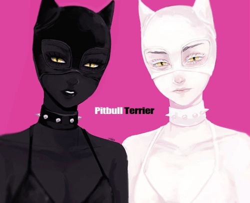 BLACK CAT ＆ WHITE CAT