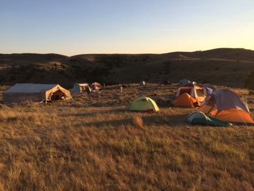 anomalokaris:Montana Dinosaur Dig: Day 1My 1st full day, we were prospecting on exposures just outsi