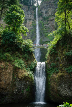 about-usa:   	Multnomah Falls - Oregon - USA (by Loren Kerns) 