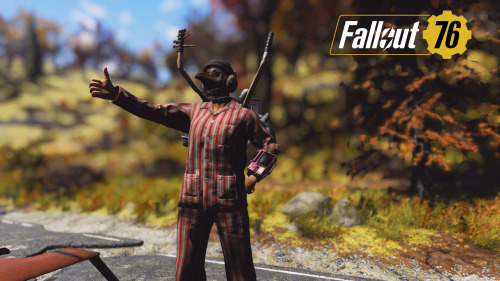 fo76 main(auto rifle) and sub characters(heavy/melee/shotgun)