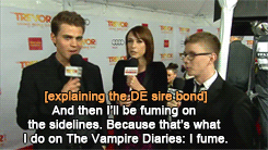 candyumbrella:ask-cockyripper-douche:Paul Wesley + IDGAFDon’t forget this oneimmortalii:#in which pa