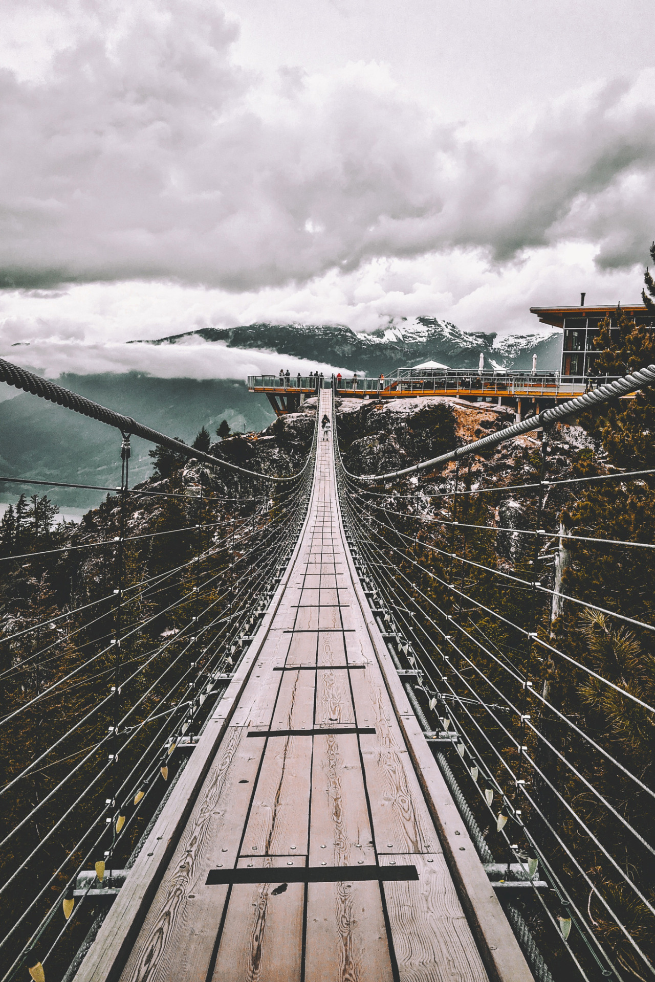 banshy:  Vancouver Bridges // Neal Kumar 