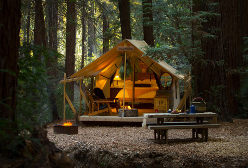 goodwoodwould:  Good wood - ok so maybe it’s more in the woods than made of wood but who cares…. loving Ventana’s Redwood Camping Glampsite, perched on the edge of the Big Sur, overlooking the dramatic California coastline. Time to escape to the