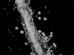 zerostatereflex: Microorganisms: “Microscopic Life: The World of the Invisible” 1958 Encyclopaedia Britannica Films  All this beautiful life we never see. 