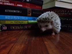 Que monada que es asdfghjk