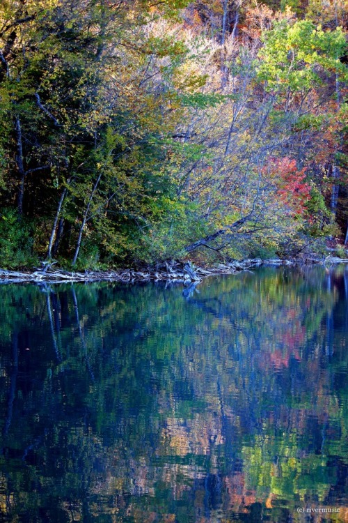 riverwindphotography: Going Deeper: The forest reveals itself in the clear waters at sunset, Green L