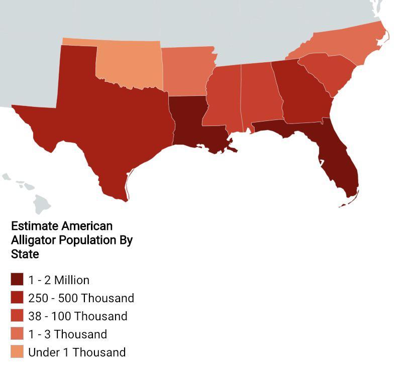 Estimate American Alligator Population Per State Maps On The Web Ef2a247bfe39c81b0dfdef3735cdeffcc449d7a8