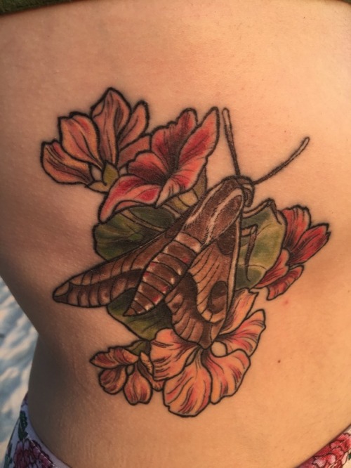 riverselkie:healed moth & sunset waters Oh nice! I like the design! - manatee mod