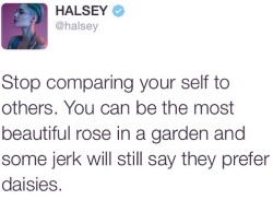 hipster-with-attitude: Halsey is the most