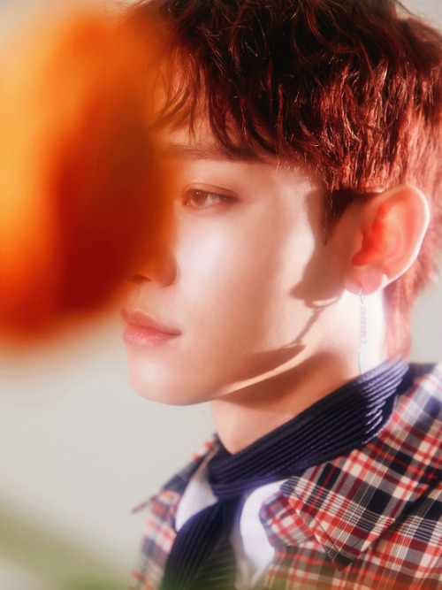 baekhyuntella: Chen - Blooming Day Teaser Photos