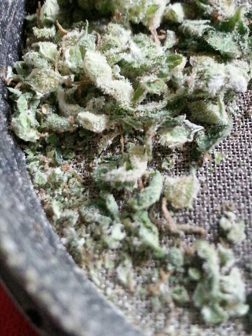 smoketogethighcustheworldissolow: Come a little closer
