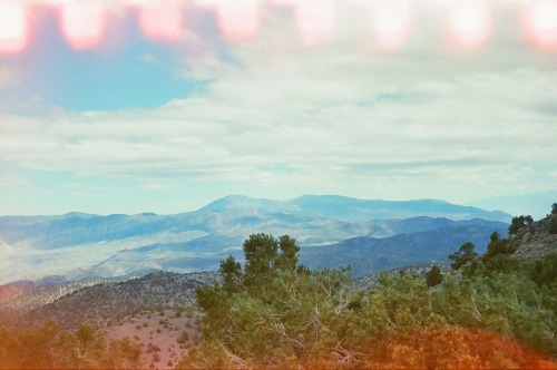 wanderlog:Just outside the Ancient Bristlecone Pine Forest in Northern California. Taken on 35mm