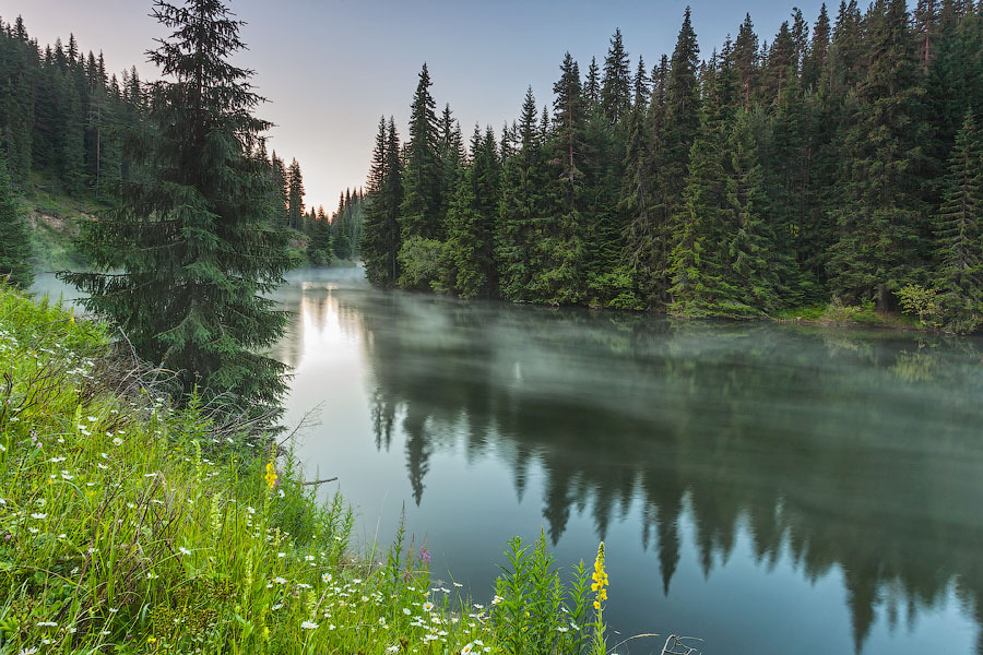 woodendreams:  (by Evgeni Dinev) 