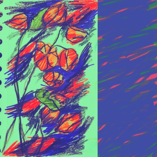 Blossoms That Kept Aloof
