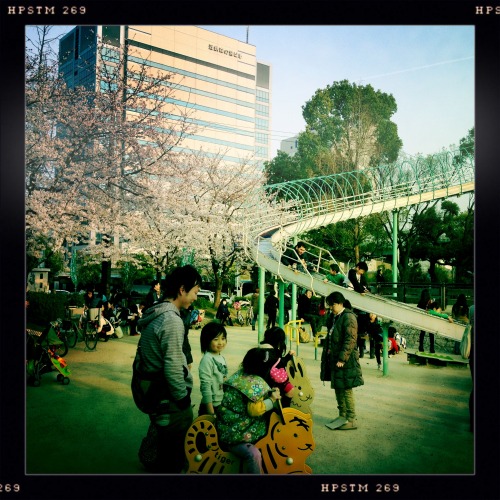 Enjoying the cherry blossoms and the playground in Osaka Castle Park.