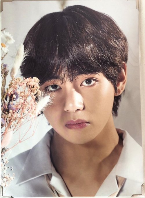 BTS LOVE YOURSELF TOUR In Seoul Official Goods Premium Photos|| Dazzlingtaekook