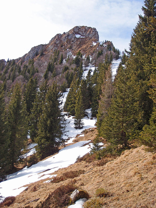 Cliff
