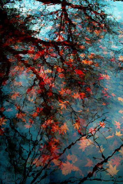 Nature is Life