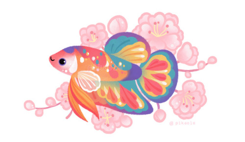 pikaole: Koi betta [ Line store / Patreon / twitter / shop / print / iMessage ] 