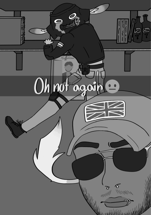 Muffin Hath Invaded Skitos Shelf Yet Again (@skito.moz On Tiktok)