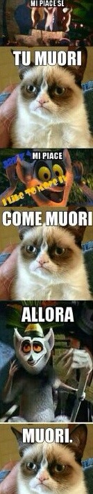 ilsilenzionegliocchi:  luniversosenzate:  volevosoloessereamata:  fremitoimprovviso: