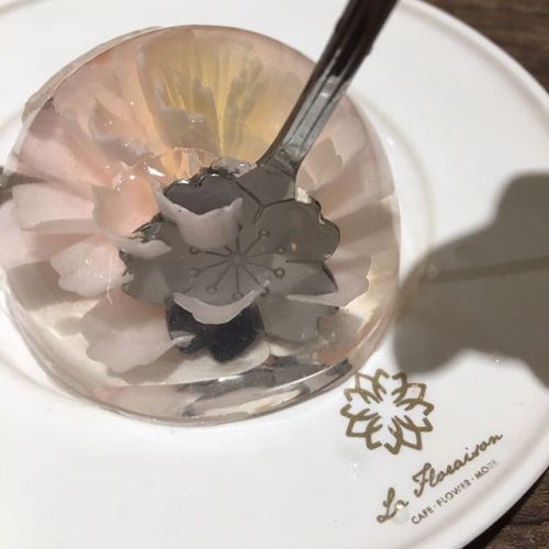 mayahan: Edible Raindrop Jelly Cake Includes a Cherry Blossom Flower Blooming on Your Plate