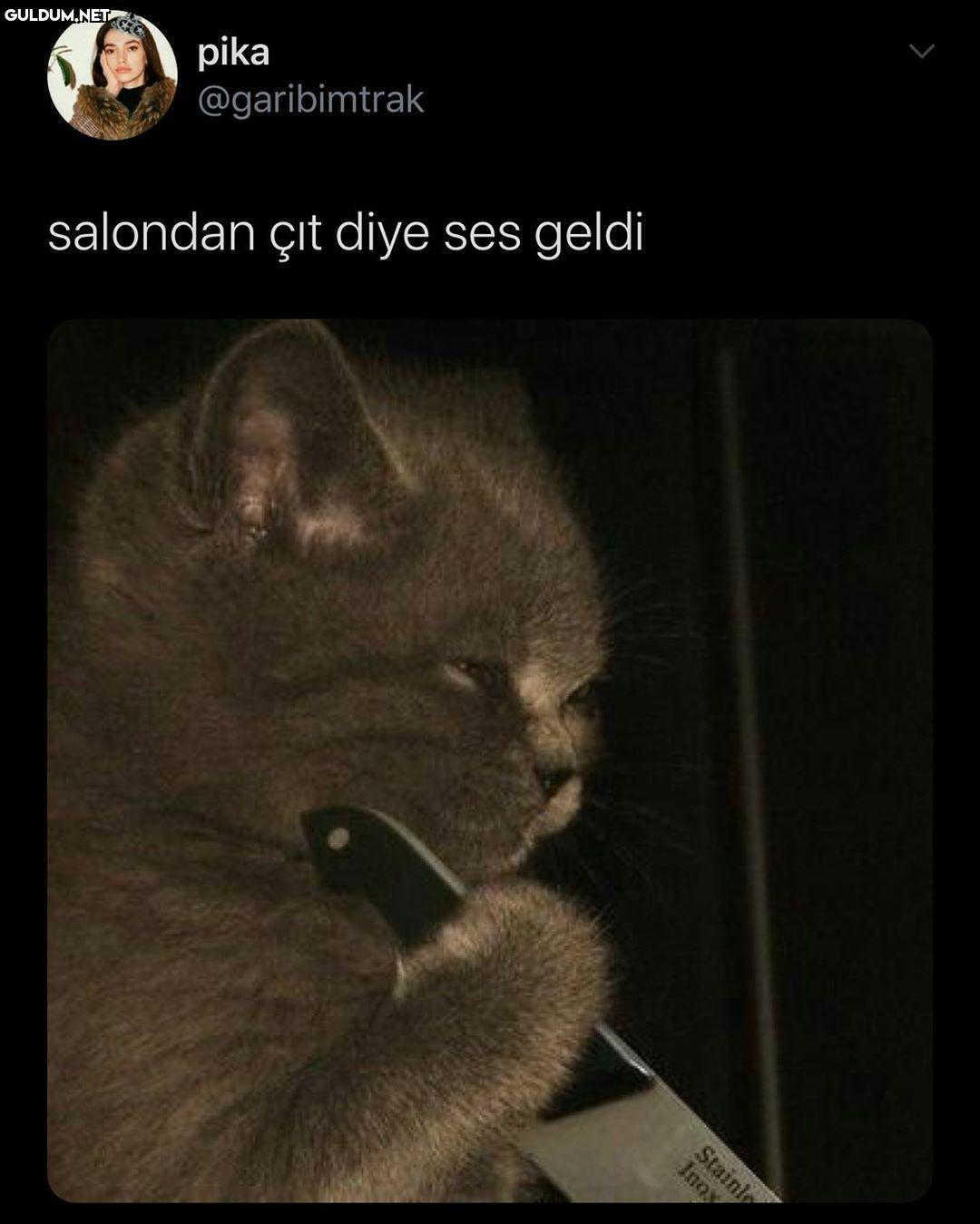 katil kedicik tarafından...