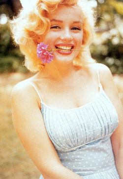 lizandmarilyn:  Marilyn Monroe photographed by Sam Shaw, 1957. 