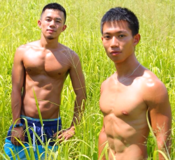 asianmusclefetish:  Original post: http://asianmusclefetish.tumblr.com 