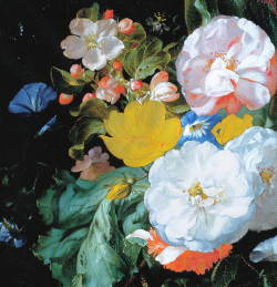eveninglesbian: Rachel Ruysch, Roses, tulips