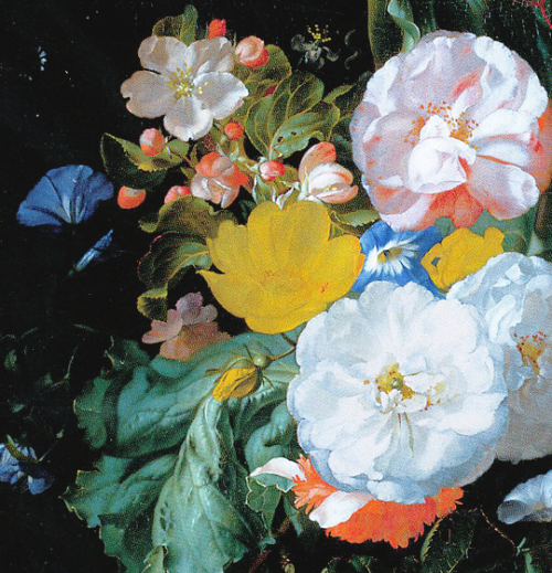 Porn Pics eveninglesbian:Rachel Ruysch, Roses, tulips