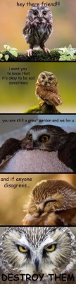 sixsix80-callmesadie:highglossfinish:Sound advice delivered by owls doesn’t count as sound advice.  It counts as a trap.  Hmm.