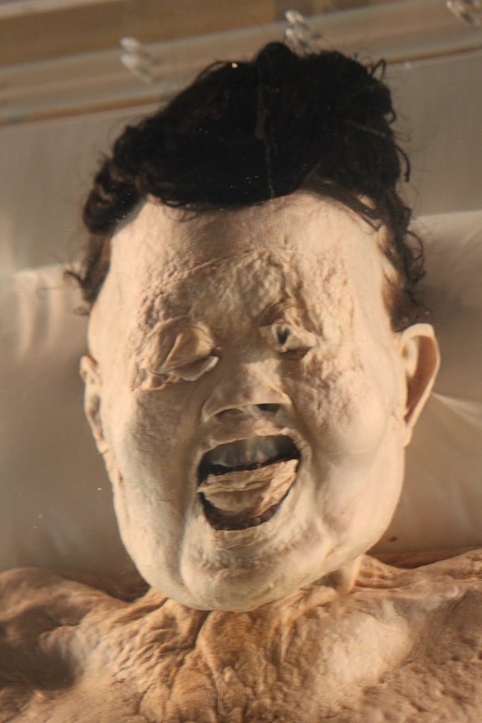 Mummy Fact Post 2: Lady Dai, or Xin Zhui. Another one of the most well preserved.