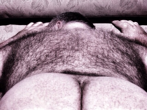 succumbere:  bear. rug. 