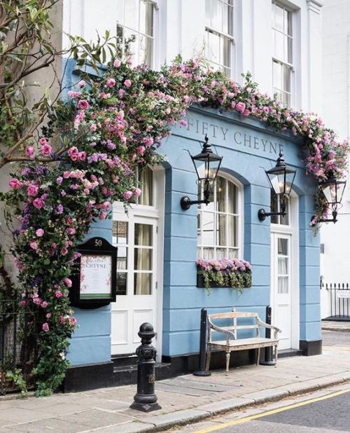 fairgirlsdream:prettylittlelondon50Cheyne