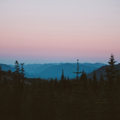 filson:  The subtle shades of the Northwest.#FilsonLife 