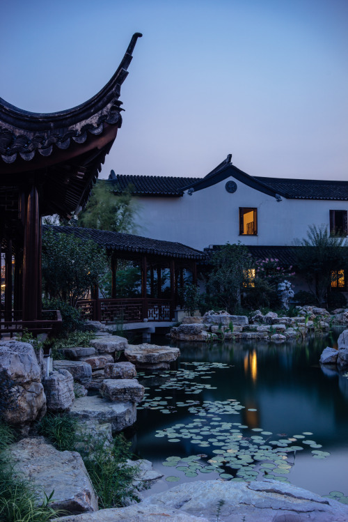 fuckyeahchinesegarden:Chinese garden by mingcat