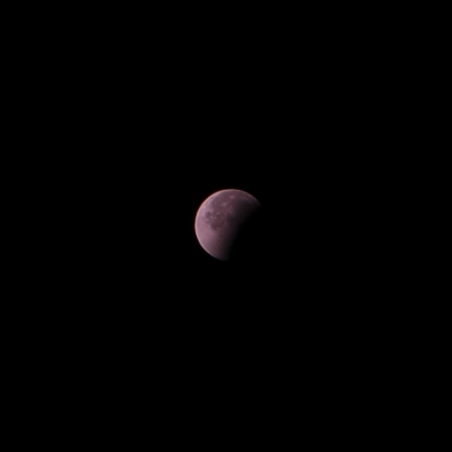 lucidcream:  twerkingintomirkwood: Some shots I took last night/morning of the Super Blood Moon Luna