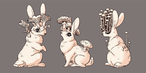 mattibee-portfolio:Mayshroom Jackalopes 1-3