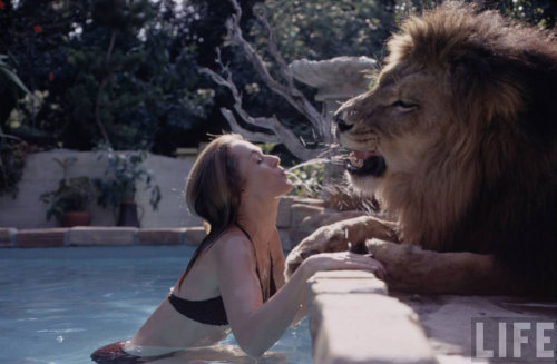 After a trip to Africa, actress Tippi Hedren, her husband Noel Marshall, and their actress daughter Melanie Griffith, wanted to make a movie about lions. At the advice of Ron Oxley, an animal trainer who said that “to get to know about lions, you’ve...