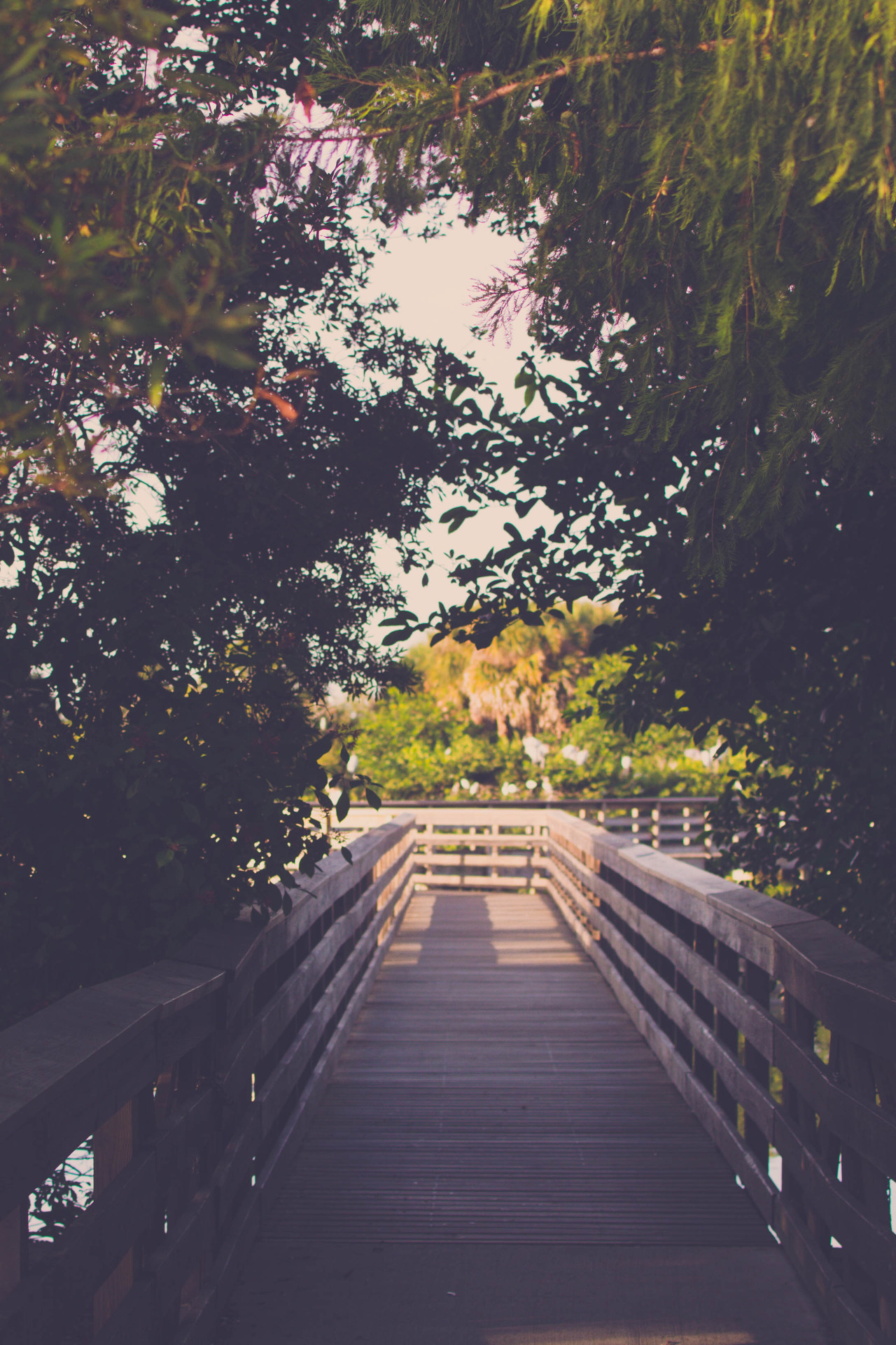 sitoutside:  boards | photographer