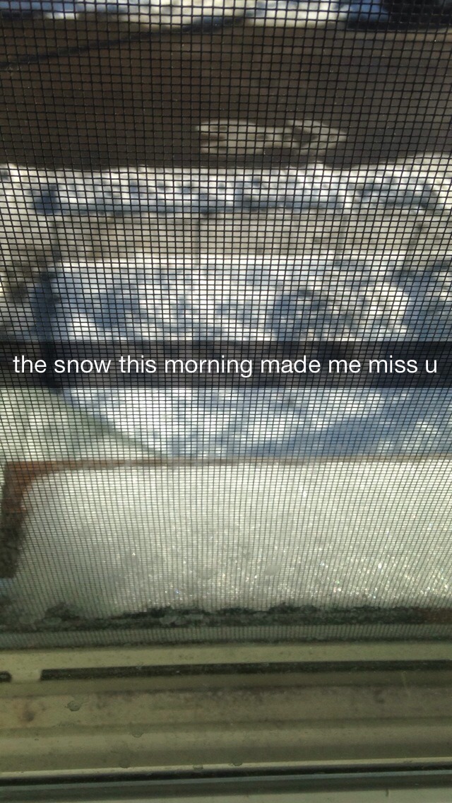 thatfuckingcrowv2:  xvxnog:  snow december 16   im sick of all yall
