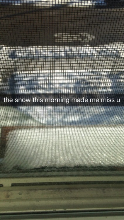 thatfuckingcrowv2:  xvxnog:  snow december 16   im sick of all yall