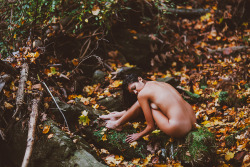 corwinprescott:    “Into the Wild”Philadelphia,